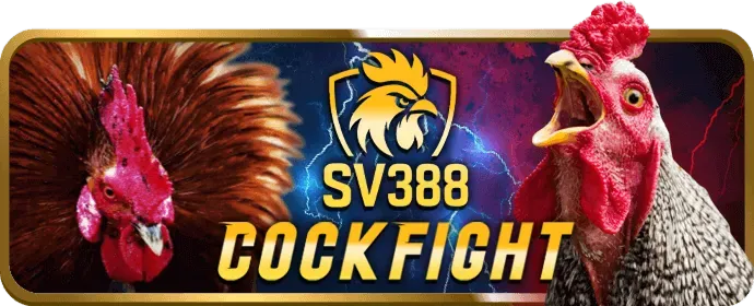 Bí quyết nâng cao trải nghiệm chơi game với VN68 Code